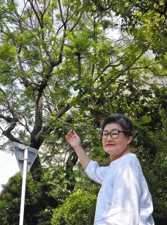ジャカランダ「紫」鮮やか　一宮・山下病院の庭園で咲き誇る