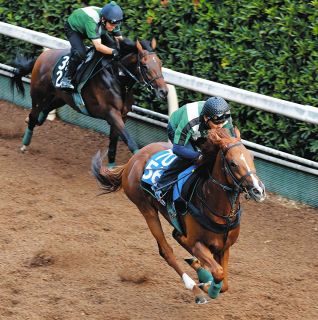 新品未開封 ディープインパクト　ラストラン　有馬記念　アバンティー　Ｓサイズ ディープインパクト ラストラン有馬記念HD2 - YouTube