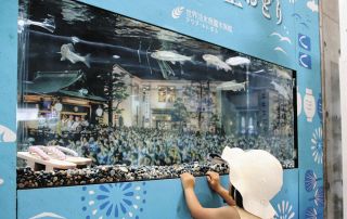アユもゆらりと郡上おどり踊る　岐阜県各務原市のアクア・トトぎふで一緒に紹介