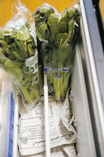 野菜を無理なく食べきるには？　「育った環境に近づけて保存」がコツ