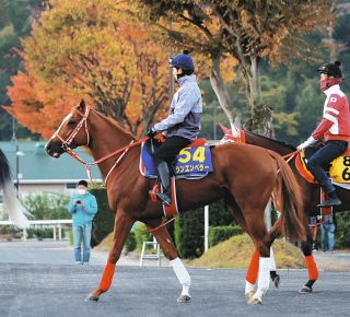 追悼　角田大河騎手 デビュー戦 二戦目 現地的中単勝馬券 メイショウソウゲツ他 新人の角田大河騎手が初騎乗初勝利！続く2Rも勝利しデビュー2