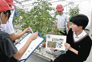 クイズで野菜や果樹栽培学ぶ　津・久居農林高生と誠之小児童が交流