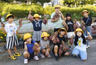 大きいサツマイモが採れたよ！　東郷・高嶺小児童ら収穫