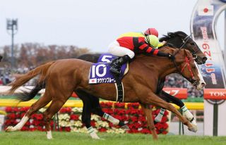 宮下瞳「次の目標は1000勝ですね」農林水産大臣賞に喜び「けがなく一鞍