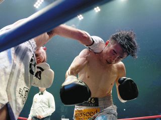 KenKen634井上尚弥選手サイン入りグローブ　ひかりTV当選品セット 井上尚弥選手サイン入りグローブ ひかりTV当選品 フィギュア