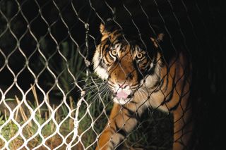 【写真多数】夜の生き物たちが本領発揮！　名古屋市の東山動植物園で「ナイトZOO＆GARDEN」