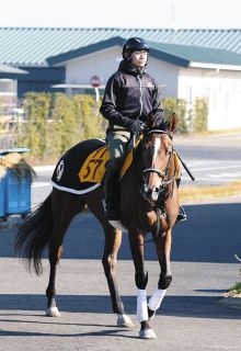 パンサラッサのサウジカップ制覇…次走のドバイで日本馬の獲得賞金1位