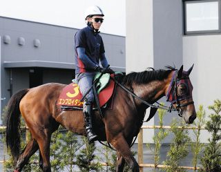 2000年のダービー馬アグネスフライトが老衰で死ぬ 26歳 ：中日スポーツ
