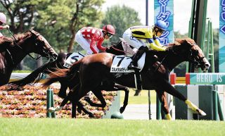 【新潟６Ｒ新馬】2番人気フルメタルボディー、２番手から抜け出し勝利　鞍上三浦「乗りやすかった」