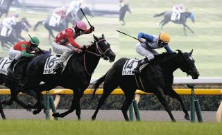 【東京新馬戦】3番人気リラノヴァが鼻差でデビュー戦を飾る　横山和騎手「芝もこの雨もちょっとプラスに働いたと思う」