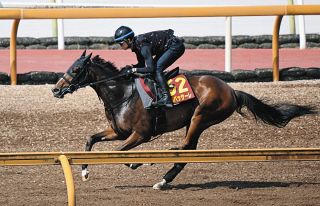 2002年皐月賞馬、ノーリーズン死す 25歳 通算12戦3勝：中日スポーツ
