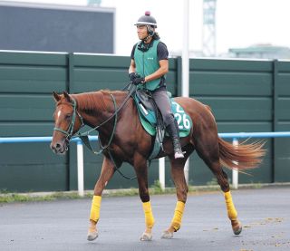 昭和52年 宝塚記念 トウショウボーイ 武邦彦 昭和52年 宝塚記念 トウショウボーイ 武邦彦 武邦彦さん通夜行われる 豊涙