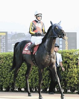 中央競馬】今村聖奈が17戦目で初勝利 阪神8R、5番人気ブラビオで直線