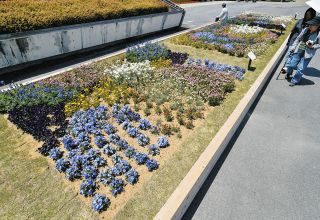 彩りと香りが来場者包む　緑化フェア開幕1週間、展示や体験にぎわう