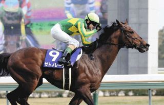 2002年皐月賞馬、ノーリーズン死す 25歳 通算12戦3勝：中日スポーツ