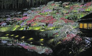 &aring;&sup2;&eacute;&ccedil;&aelig;&micro;&eacute;&pound;&aring;&cedil;&atilde;&reg;&atilde;&atilde;&shy;&atilde;&atilde;&nbsp;&atilde;&aelig;&iexcl;&aring;&atilde;&aelig;&sup3;&aring;&auml;&raquo;&yen;&auml;&cedil;&atilde;&reg;&eacute;&cent;&uml;&aelig;&macr;&atilde;&atilde;&aring;&ordm;&egrave;&iquest;&atilde;&atilde;&atilde;&atilde;&nbsp;&atilde;&aelig;&iexcl;600&aelig;&not;&atilde;&egrave;&brvbar;&eacute;&nbsp;