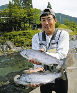 渓流さあお目覚め！　アマゴ躍る春本番　２０２６　３月解禁特集