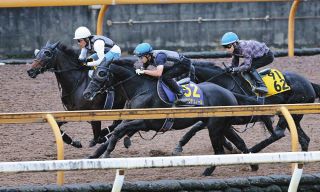 【天皇賞・秋1週前】天皇賞春秋制覇狙うクロワデュノール3頭併せで力強く抜け出し1馬身先着　斉藤崇師「動き出しも反応も良くなった」