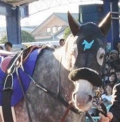 【東京大賞典】オメガパフュームが史上初の3連覇達成!!「すごくうれしい。馬が大人になっている」Mデムーロも感激