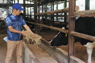 三重県鳥羽市で親しまれた「加茂牛」　唯一の生産者が来春引退へ