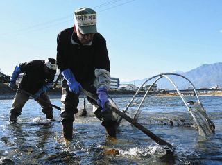 漁師減、後継育てる弾みに　伊那市無形文化財に「ざざ虫漁」が決まる