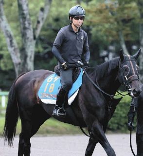 小泉恵未コラム】東京大賞典でのフォーエバーヤングの姿…坂井瑠星騎手