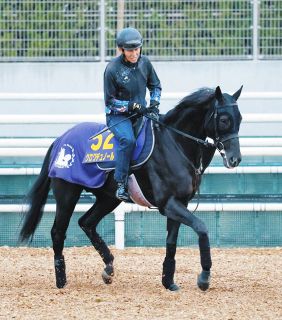 ジャパンC売り上げは大幅増の260億円 イクイノックスとリバティ