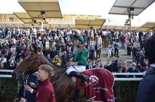 2002年皐月賞馬、ノーリーズン死す 25歳 通算12戦3勝：中日