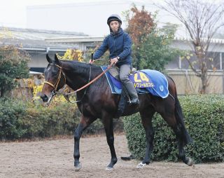 JRA重賞で300万円馬券連発！「函館記念」は15番人気が勝ち「中京記念