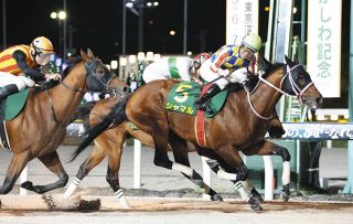 本当に信頼出来る店 有馬記念企画】ディープインパクト、「イブ決戦」で火の鳥の ぬいぐるみ