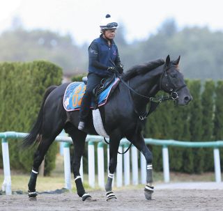 アーモンドアイが“世紀の一戦”ジャパンカップで有終の美…コン