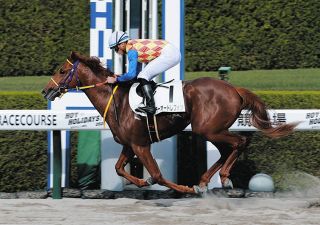 日米オークス制覇 シーザリオ号 記念メダル 競馬 日米オークス制覇シーザリオが死ぬ…角居調教師勇退の前日に 母