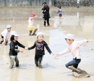 収穫目指し泥んこだ！田植えだ！　ほづみ幼稚園児、米作りに親しむ