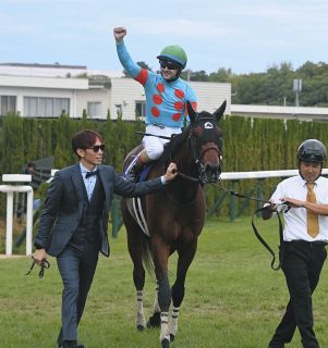 【現地・単勝】ナリタブライアン 京都新聞杯2着 競馬】なぜナリタブライアンはスターマンに負けたのか【1994年
