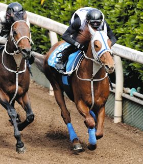 日本ダービー】競馬界の七不思議「青葉賞馬の不振」…今年のエネルジコ