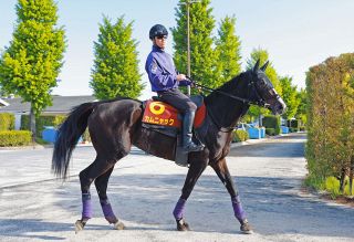セントライト記念3着エコロヴァルツは引き続き岩田康誠騎手とのコンビ