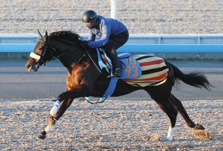 サトノダイヤモンド 新馬戦〜天皇賞・春2歳から4歳国内全