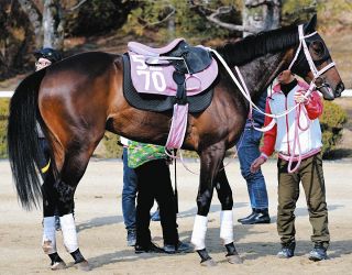 亡き父から「『いい仕事したな』と珍しく褒めてもらえた気がした