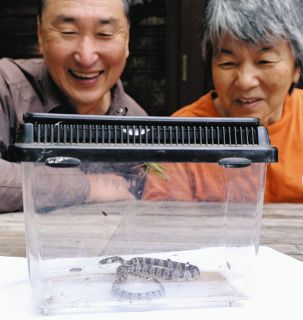 人類の世界解釈 “大目録” 愛知学院大名誉教授の神山重彦さん