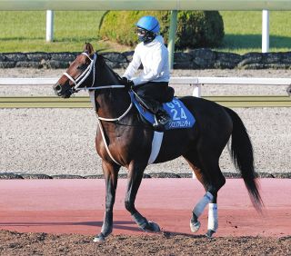 ラヴズオンリーユーがまたも金字塔 矢作師「引退寂しいが、彼女の子どもを早く見たい」【香港カップ】：中日スポーツ・東京中日スポーツ