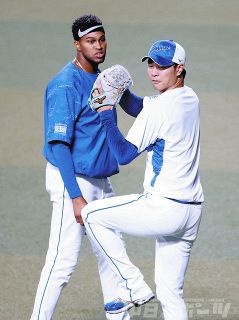 中日―広島　高橋宏とマルティネス