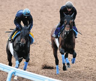 【天皇賞・秋1週前】毎日王冠2着ホウオウビスケッツは6馬身追走し併入　奥村師「毎日王冠よりもさらにいい状態」