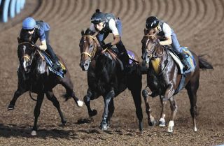 2002年皐月賞馬、ノーリーズン死す 25歳 通算12戦3勝：中日