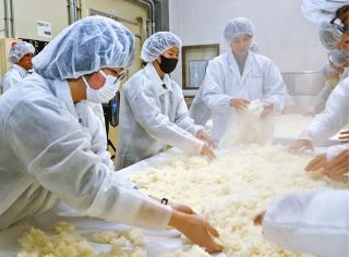 おいしいお酒になって　安城農林高生が仕込みに奮闘