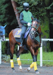メイショウ」松本好雄オーナーがJRA通算2000勝の偉業達成にリーチ