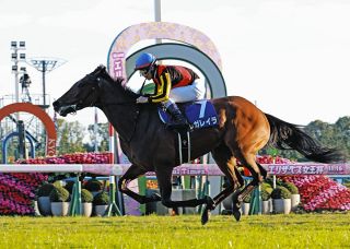 亡き父から「『いい仕事したな』と珍しく褒めてもらえた気がした