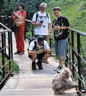 混雑緩和へ電子チケット活用を　長野県・地獄谷野猿公苑で8月から試行