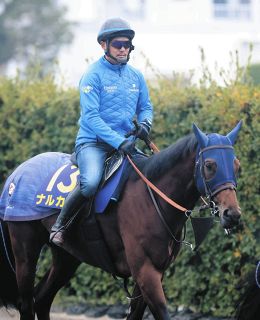 皐月賞3着マスカレードボールは6・1日本ダービーで坂井と再コンビ：中