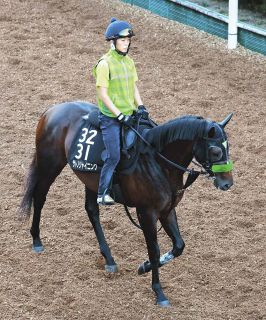 アーモンドアイが“世紀の一戦”ジャパンカップで有終の美…コン