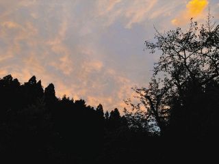 変わる季節 新しい毎日